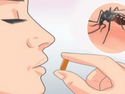 Vezměte si tento vitamín a budete mít od komáru klid po celé léto!