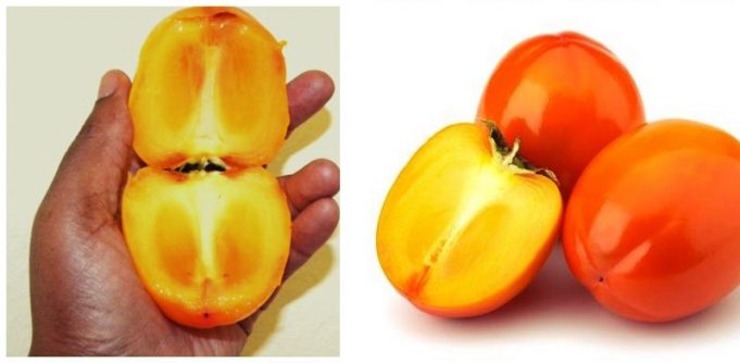 kaki