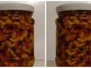 TOTO poraďte každému, kdo má ořechy – perfektní pomoc: Takto vám vydrží čerstvé roky + tip, se kterým budou extra léčivé!