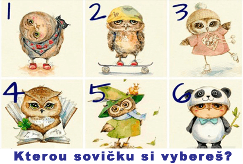 sovicky