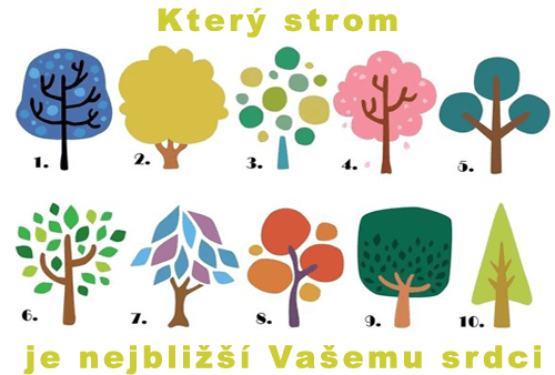 strom_main_1