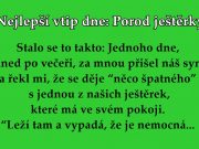 Nejlepší vtip dne: Porod ještěrky
