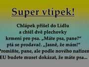 Luxusní vtip dnešního dne
