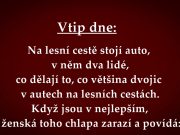 VTIP PRO DNEŠNÍ DEN: Dva lidé si užívají v autě