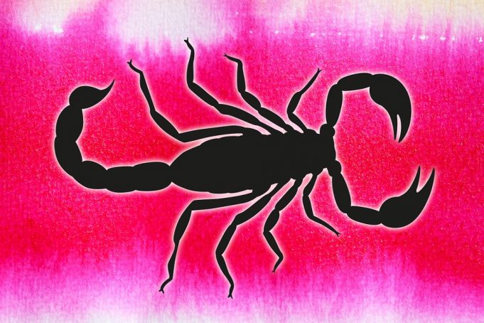 scorpio-387864_960_720