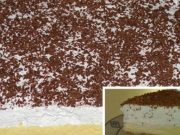Nepřekonatelný oblíž prst bez pečení: Vsadím se, že lepší dezert jste už dávno nejedli – hotový je hned!