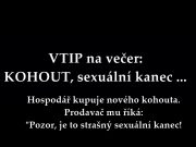 VTIP na večer: KOHOUT, sexuální kanec …