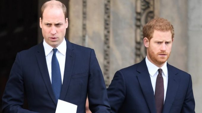 pdd-2n2uTRysRCGeTGIuig_Princovia-William-a-Harry