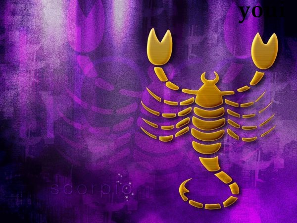 yy