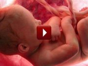 Dechberoucí video, které ukazuje devět měsíců života dítěte v děloze jen v pár minutách