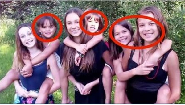 fb-1479550751adopcja