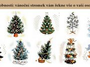 Test osobnosti: vánoční stromek vám řekne vše o vaší osobnosti