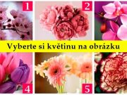 Vyberte si květinu na obrázku – a dozvíte se něco nového o sobě
