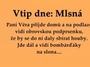 Vtip dne: Mlsná