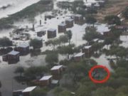 ŽENA ZAZNAMENÁVALA NÁSLEDKY POVODNĚ VE SVÉM MĚSTĚ. O NĚKOLIK MINUT POZDĚJI NEMOHLA UVĚŘIT TOMU, CO VIDĚLA