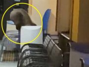 Na slovenském nádraží se objevil neobvyklý návštěvník. Cestující v šoku ztuhli