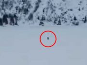 Nahrávka z Tater mrazí. Neuvěřitelné, co udělali turisté. Je tu naléhavá výzva!