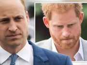 Boj v královské rodině – William napadl prince Harryho